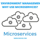Illustration for article titled IT environment management – Why Use Microservices?